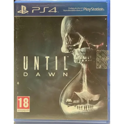 Until Dawn