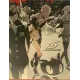 Persona 5 SteelBook Launch Edition